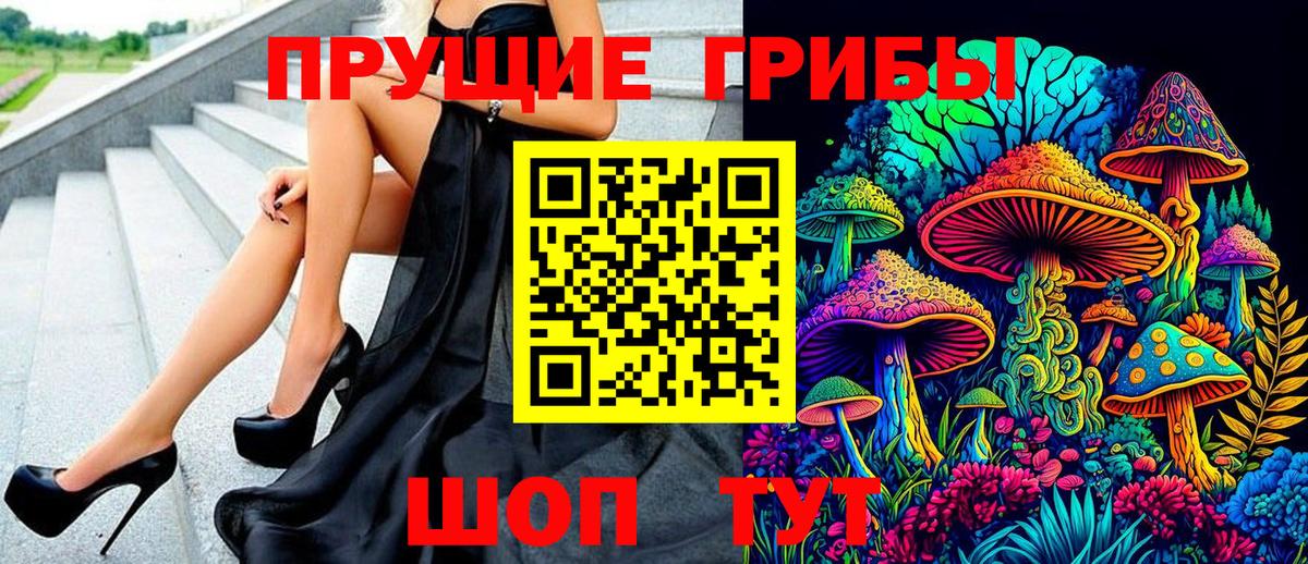 Благовещенск  Галлюциногенные грибы Cubensis  Вход с VPN  Галлюциногенные грибы Psilocybine cubensis 